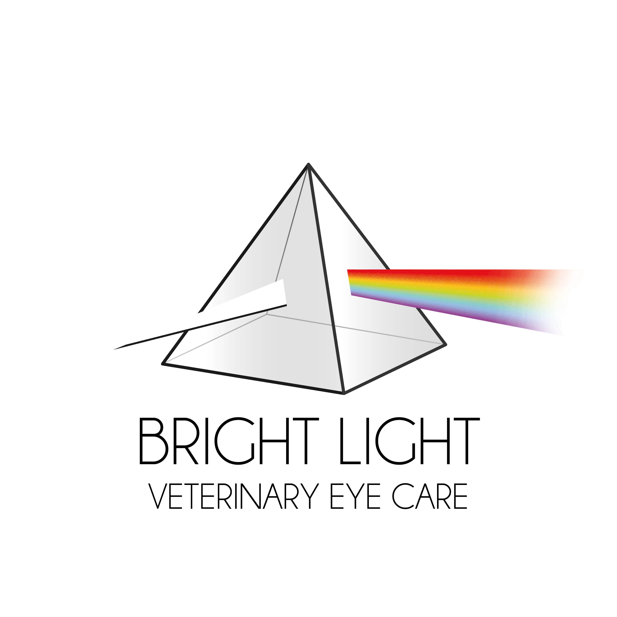 Canine eye hot sale doctor